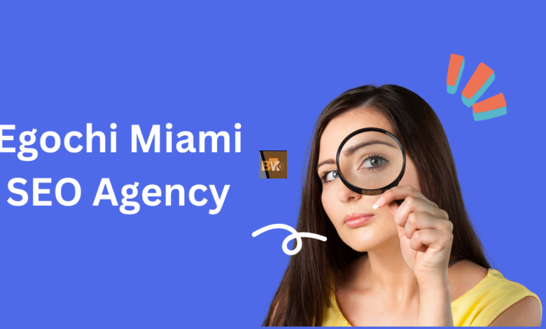 Egochi miami seo agency